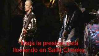 Red Hot Chili Peppers  Parallel Universe live at Slane Castle traducida [upl. by Hsizan746]