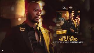 Singuila  Du lion au canard Album  Dr LOVE Audio Officiel [upl. by Aihsenor845]