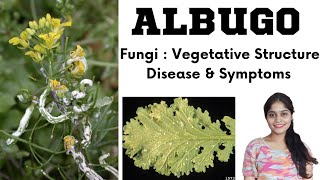 AlbugoWhite Rust Fungi BSc 1st year in hindi [upl. by Shanley]