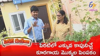 Inti chitkaluSendriya Yeruvula Peratithota  Perati Ruchulu  18th January 2019  Full Episode ETV [upl. by Irik274]