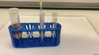 Quick protocols QuEChERS extraction with Thermo Scientific HyperSep Dispersive SPE Cleanup Tubes [upl. by Anomis]