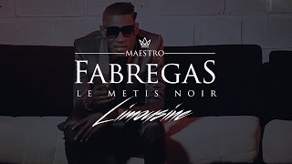 Fabregas Le Metis Noir présente Ibrator  Limousine [upl. by Adnahcal380]