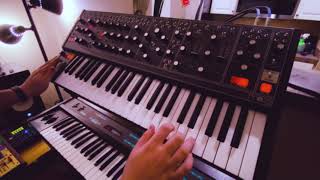 Whip It  Devo Cover on the Moog Matriarch [upl. by Fonseca]