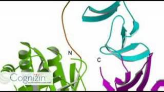 Cognizin FAQ  Why use Citicoline Part 3 of 10 [upl. by Laro142]