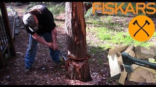 Fiskars X11 Axe Chopping Tree Test [upl. by Katheryn]