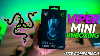 Razer Viper Mini Unboxing and Size Comparisonvs Model O MM710 G Pro [upl. by Adiazteb103]