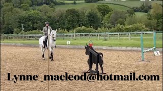 What Is Working Equitation [upl. by Casady335]