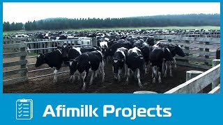 afimilk®  The worlds largest dairy farm project in Vietnam [upl. by Nageek]