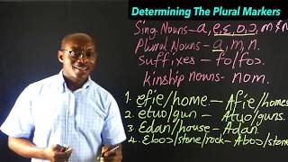 Twi Singular and Plural Nouns 4 Determining the Plural Marker of Nouns  Learn Twi with Opoku [upl. by Gaye]