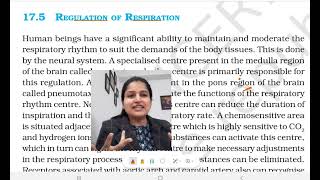 Regulation of Respiration  Respiratory Rhythm Center class 11 Biology NCERT [upl. by Bannister]