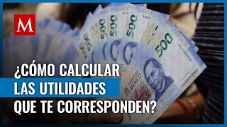 El reparto de utilidades es un derecho de los trabajadores aquí te decimos cómo se calcula el monto [upl. by Beatriz]