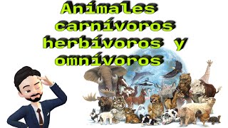 Animales carnívoros herbívoros y omnívoros [upl. by Lednor]