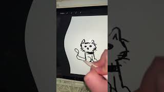 Attempting to draw a cat with the warped filter😭😂cat drawing draw funny silly trend shorts [upl. by Alanson]