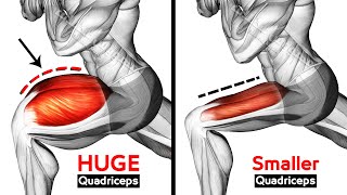 Best Exercises Quadriceps To Get Wide Leg Workout [upl. by Tugman]