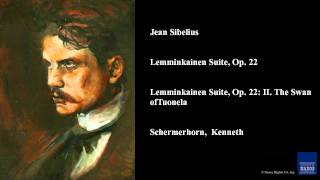 Jean Sibelius Lemminkainen Suite Op 22 Lemminkainen Suite Op 22 II The Swan of Tuonela [upl. by Lihkin]