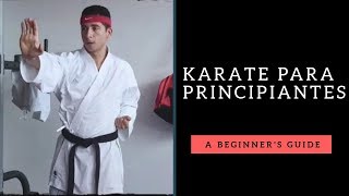 Karate para principiantes  primeros pasos  cómo empezar  movimientos básicos [upl. by Nerej]