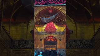 Holy Shrine of Hazrat Abbas as 🚩❤️ Darya hai Hamara 🌊 shorts ytshorts humanity mananreverb [upl. by Lanti]