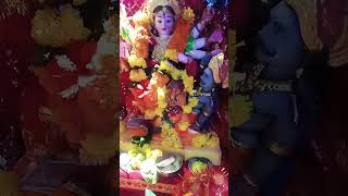 Kahe hasat nahi Maiya jaymatarani navratrispecial navratri [upl. by Nnyllatsyrc]