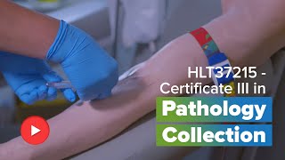 HLT37215 – Certificate III in Pathology Collection  ihnaaustralia [upl. by Emrich]