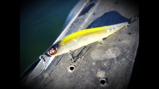 Megabass Ito Vision 110 Jr [upl. by Karolyn]