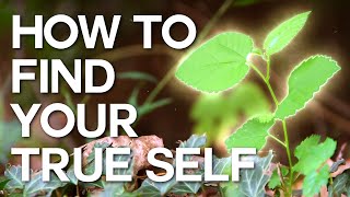 How to Find Your True Self  Swedenborg and Life [upl. by Ytsirk573]