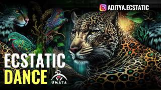 Jungle Medicine ⚡ Shamanic Journey Ecstatic Dance by Dj Aditya [upl. by Yendic606]