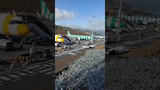 Four Condor airline planes at once at Madeira airport shorts [upl. by Jandel]