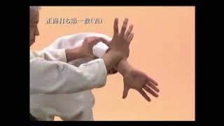 Aikido  Moriteru Ueshiba Sandai Doshu  Shomenuchi Ikkyo [upl. by Elyrpa210]