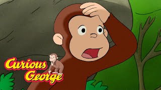 George Predicts the Seasons 🐵 Curious George 🐵 Kids Cartoon 🐵 Kids Movies [upl. by Ynej]