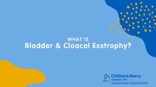 Treating Bladder and Cloacal Exstrophy [upl. by Lonna598]