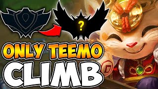 ZWAGS TEEMO ONLY RANKED CLIMB CONTINUES 2 [upl. by Goddart660]