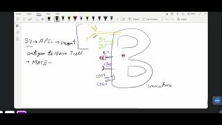 B cell Activation and Maturation  Immunology lecture 8 IITJAM biotechnology CUETpg GATB [upl. by Samot804]