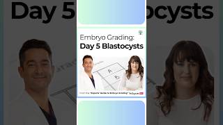 How Embryos are Graded Day 5 Blastocysts [upl. by Edla]