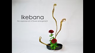 Ikebana Howto the Taterukatachi stepbystep [upl. by Leis]