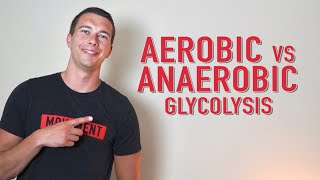 Aerobic vs Anaerobic Glycolysis  What is Lactate [upl. by Idden511]