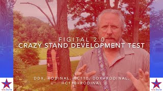 Crazy Stand Development Test [upl. by Sivatco]