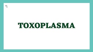 Toxoplasma gondii  Toxoplasmosis  Life Cycle Diagnosis Treatment amp Prevention  MEDZUKHRUF [upl. by Blasius]