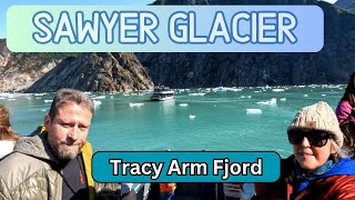 Tracy Arm Fjord  Is the Small Boat Excursion worth the money YES [upl. by Yltnerb]