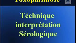 Toxoplasmose Serologie interpretation Technique ELISA [upl. by Jesus]