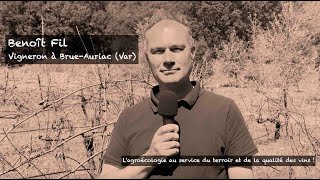 Pourquoi intercaler des érables entre les ceps de vigne [upl. by Coben]