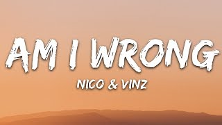 Nico amp Vinz  Am I Wrong Lyrics [upl. by Noillimaxam]