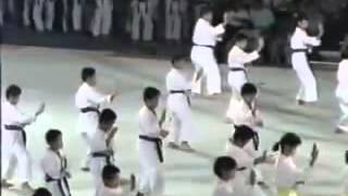 Okinawan Karate and Kobudo Festival 1990 [upl. by Reiners218]