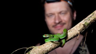 Herping southern Vietnam [upl. by Eatnuahs979]