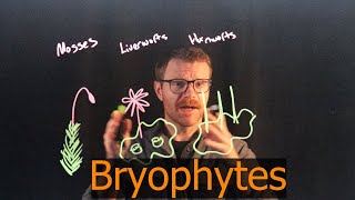 The Weird World of Bryophytes [upl. by Ariaes]