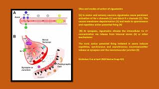 Neurology Quiz 85 Marine neurotoxins [upl. by Frederic]