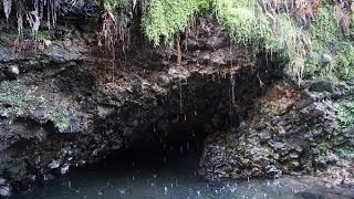 Deer Creek Bigelow Hot Springs  Oregon Cascades [upl. by Eiddam31]