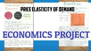 Project on price elasticity of demand elasticity project economics elasticity of demand and supply [upl. by Inaja]