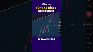 Tüpraş Hisse Teknik Analiz  Son Durum shorts [upl. by Nibla]