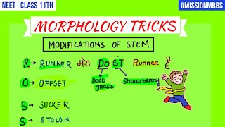 Trick to Learn Morphology of Flowering Plants  ROOT STEM [upl. by Jacenta835]