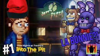 CATALUNYA A FNAF BONNIE ÉS FEMELLA I MENDINSO A LA PISCINA  Into The Pit 1  FNAF En Català [upl. by Notfilc]